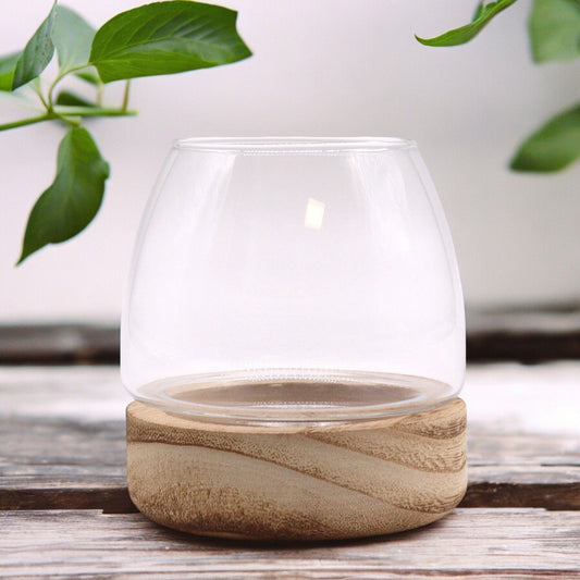 Kleines Glas-Terrarium mit Edelholz-Sockel - 10x10 cm