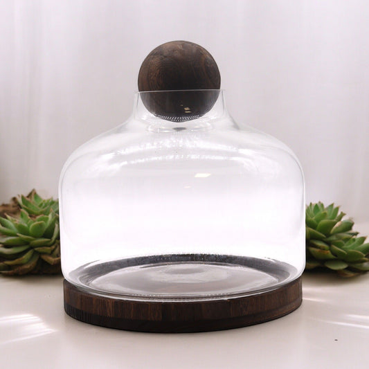Großes Kugel-Terrarium auf Edelholz-Sockel - 23 cm