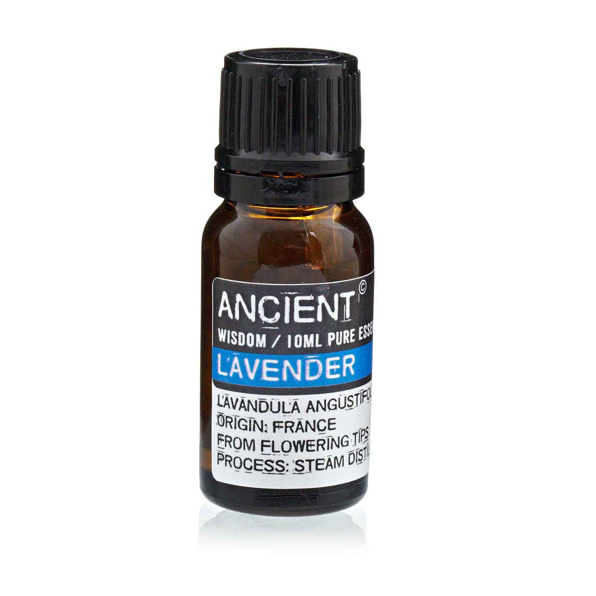 Lavendelöl – Reine Entspannung aus der Provence