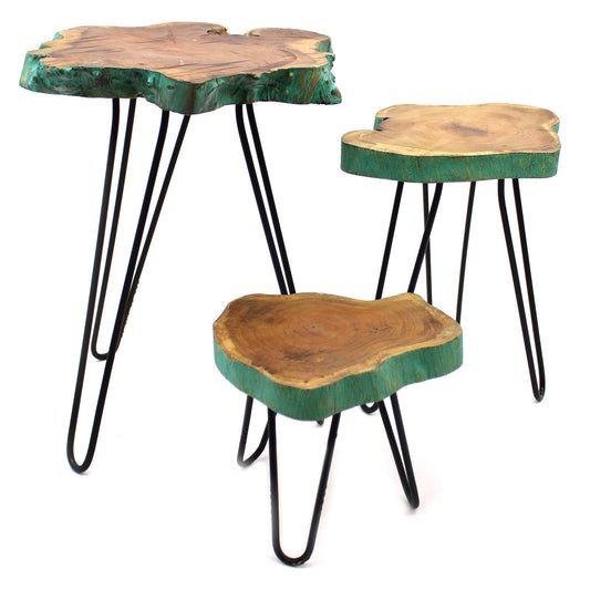 Set aus 3 Pflanzenständern aus Gamal-Holz mit Haarnadelbeinen - Grünlasur