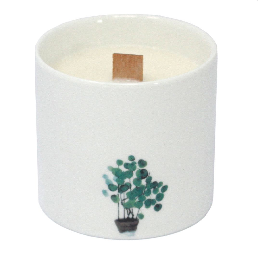Keramik-Duftkerze Wildjasmin im 3er-Set – 30h Brenndauer