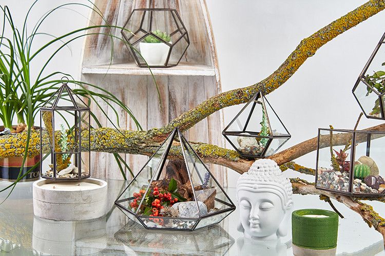 Diamant Terrarium aus Glas mit Messingrahmen - Stilvolle Pflanzendeko