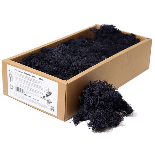 Premium-Box mit 635g stabilisiertem Rentiermoos in Schwarz