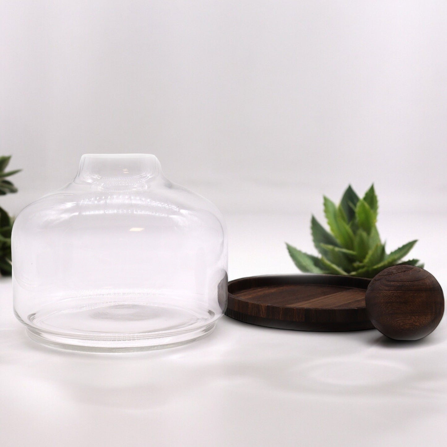 Großes Kugel-Terrarium auf Edelholz-Sockel - 23 cm