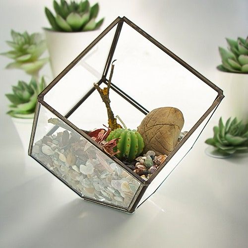Würfel-Terrarium aus Glas mit Messingfassung – Eckiger Design-Kubus