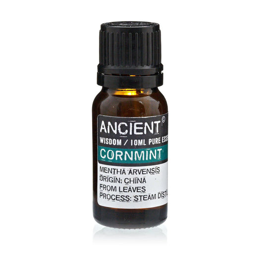 Ätherisches Öl Ackerminze (Mentha Arvensis) | 10ml | 100% rein