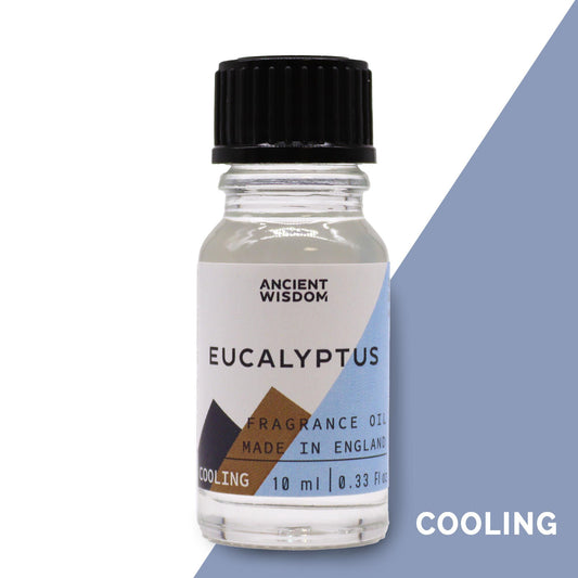 Eukalyptus Duftölkonzentrat 10ml - Frische für Ihre Räume