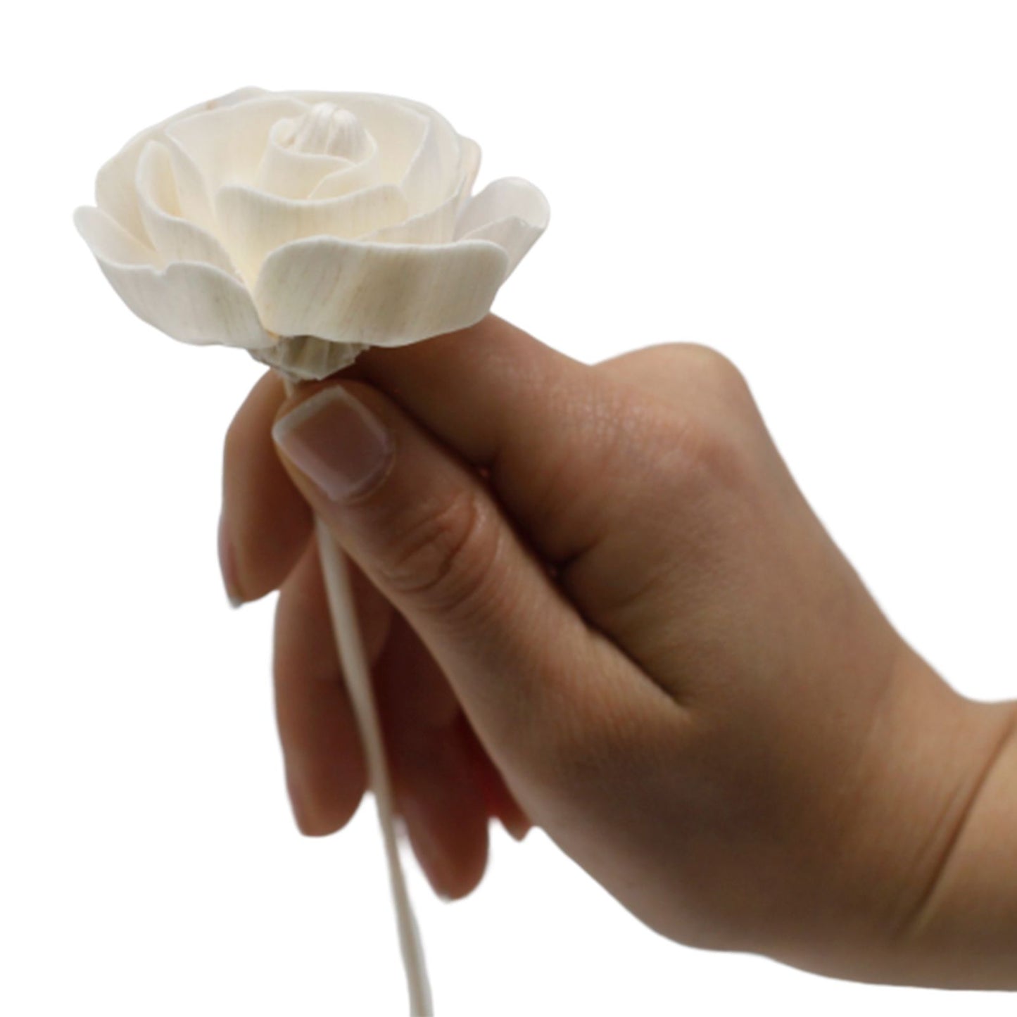 Natürliche Duftblüte Rose aus Solaholz mit Schilfstäbchen