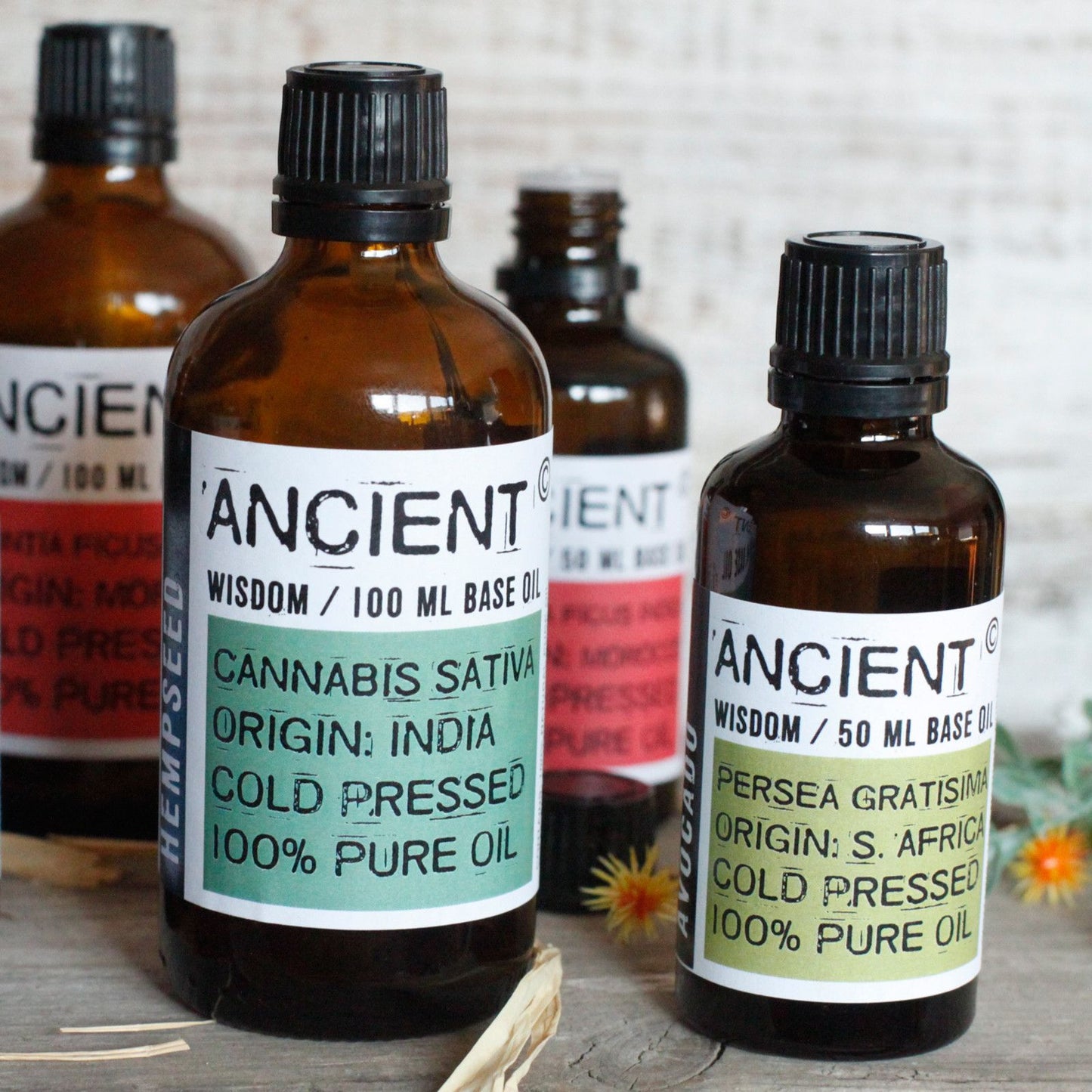 Reines Nachtkerzenöl 50ml - Kaltgepresst für sensible Haut