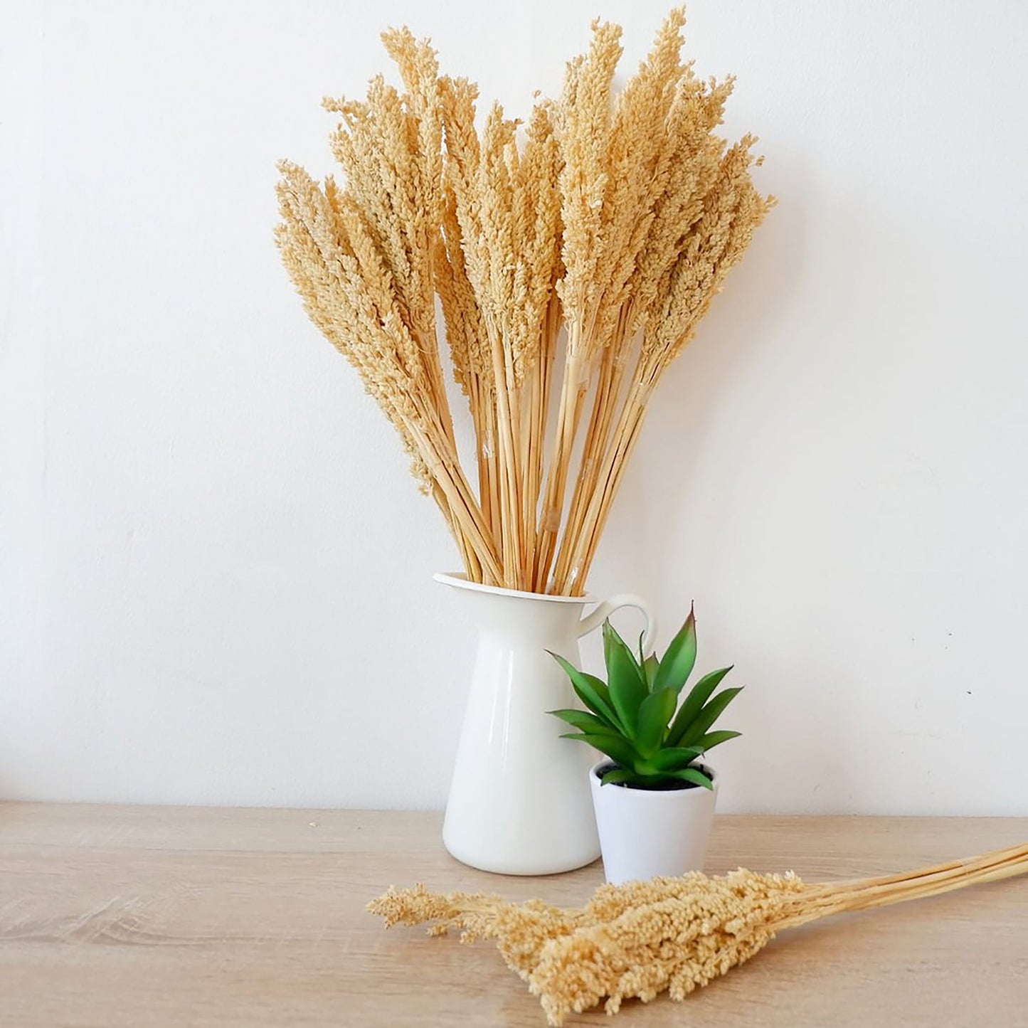Natürliche Cantal-Gras-Büschel im 6er-Set – Dekoration im Boho-Stil