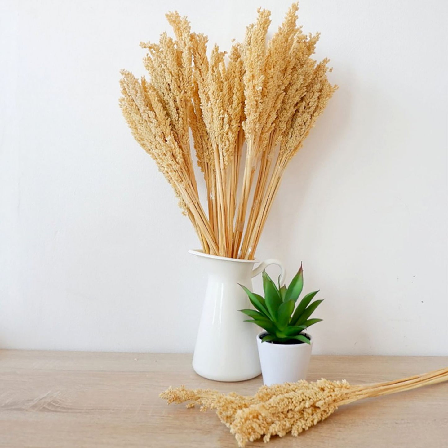 Natürliche Cantal-Gras-Büschel im 6er-Set – Dekoration im Boho-Stil