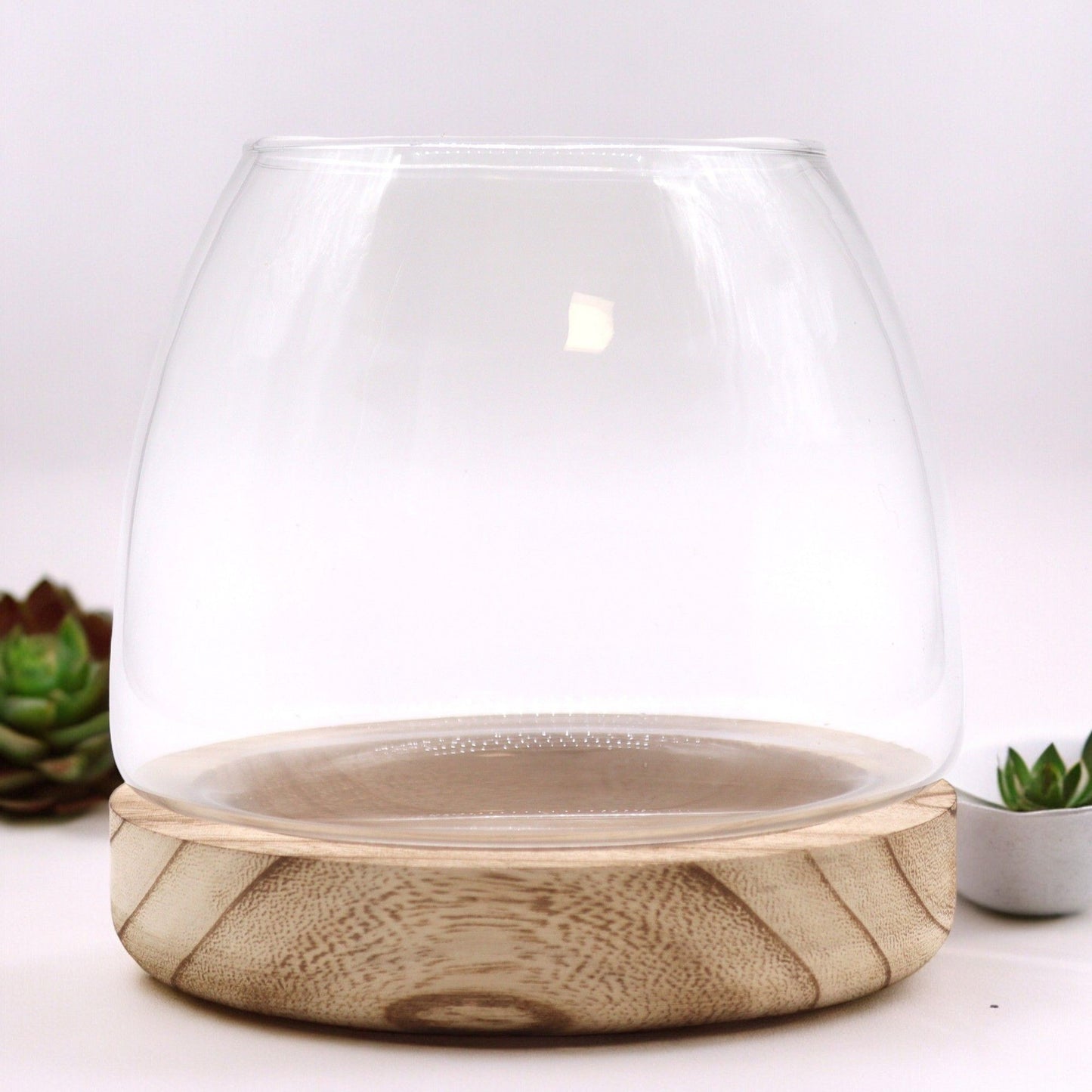 Glas-Terrarium auf Edelholz-Sockel 15x15 cm - Natürliches Pflanzendisplay