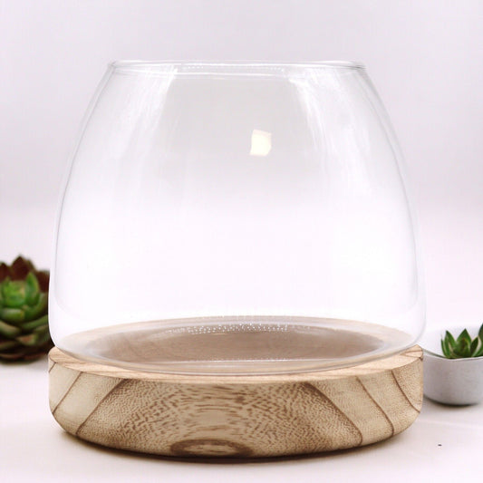 Glas-Terrarium auf Edelholz-Sockel 15x15 cm - Natürliches Pflanzendisplay