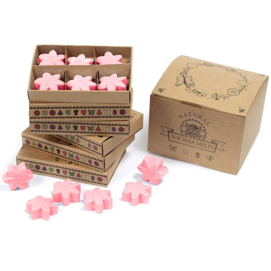 Duftwachs-Geschenkset Japanische Magnolie – 6 Stück in edler Box