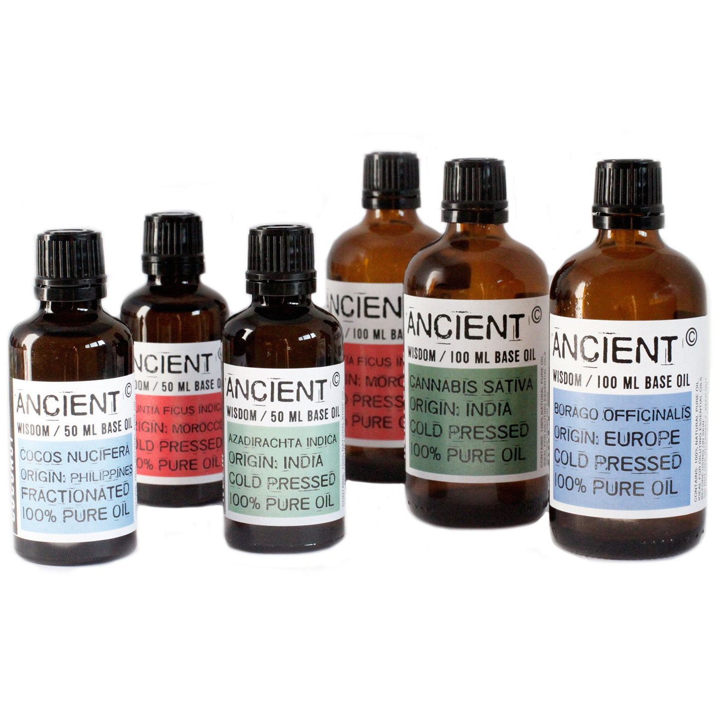 Reines Nachtkerzenöl 50ml - Kaltgepresst für sensible Haut