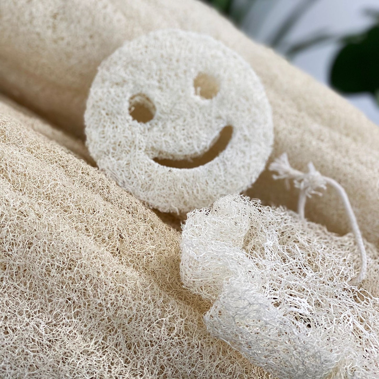 Natürlicher Luffa-Ganzkörperschwamm mit Smiley-Gesicht