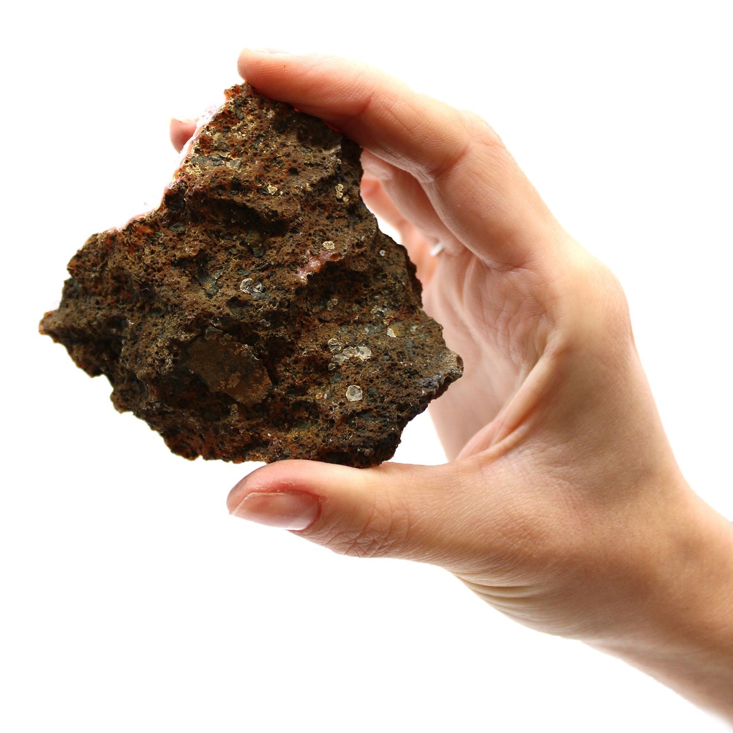 Natürliche Amethyst-Drusen Kollektion - Premium-Sammlersteine (ca. 20 Stück)