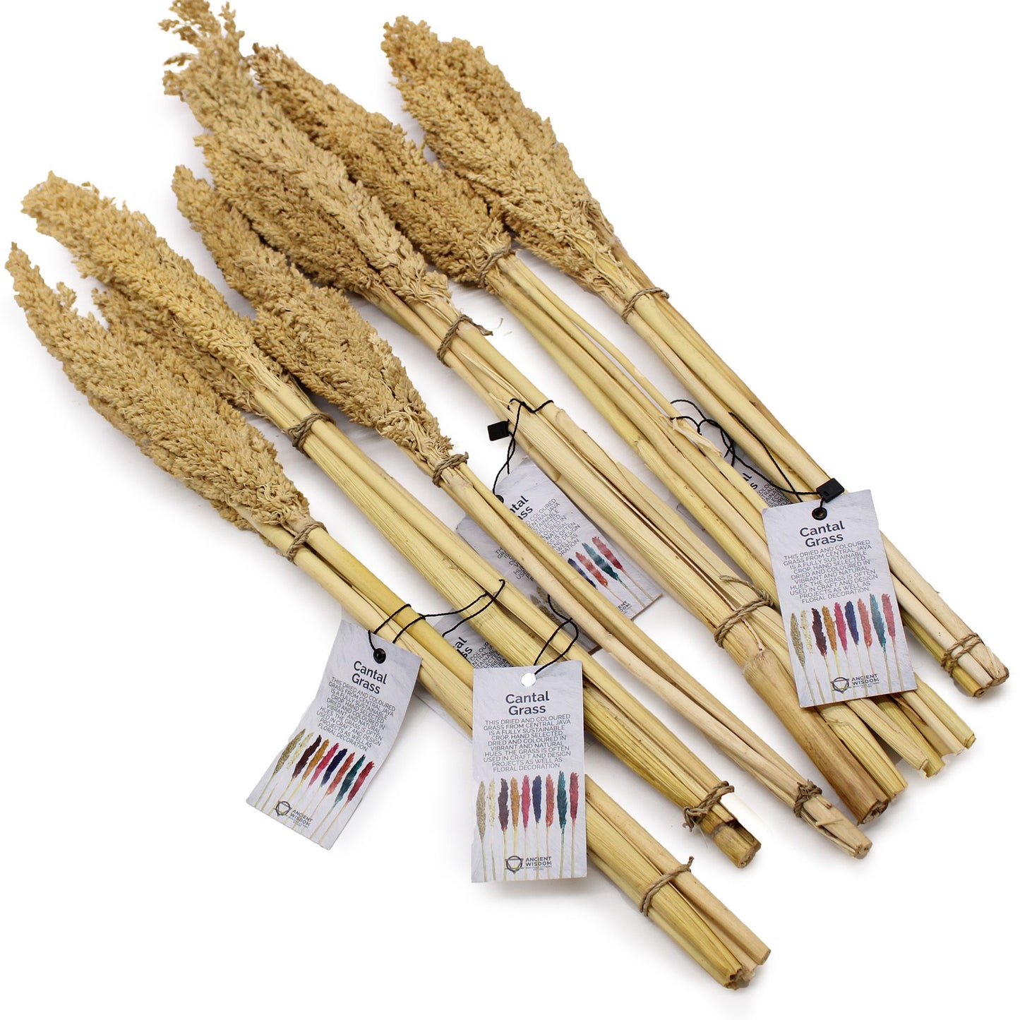 Natürliche Cantal-Gras-Büschel im 6er-Set – Dekoration im Boho-Stil