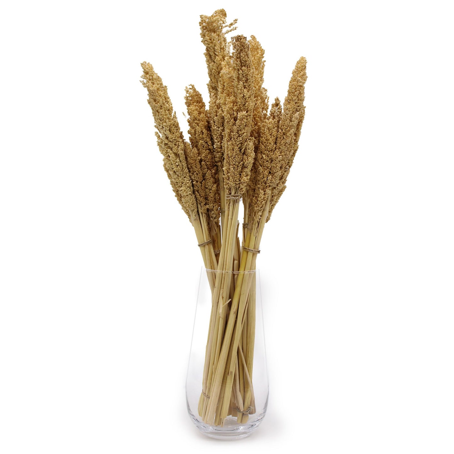 Natürliche Cantal-Gras-Büschel im 6er-Set – Dekoration im Boho-Stil