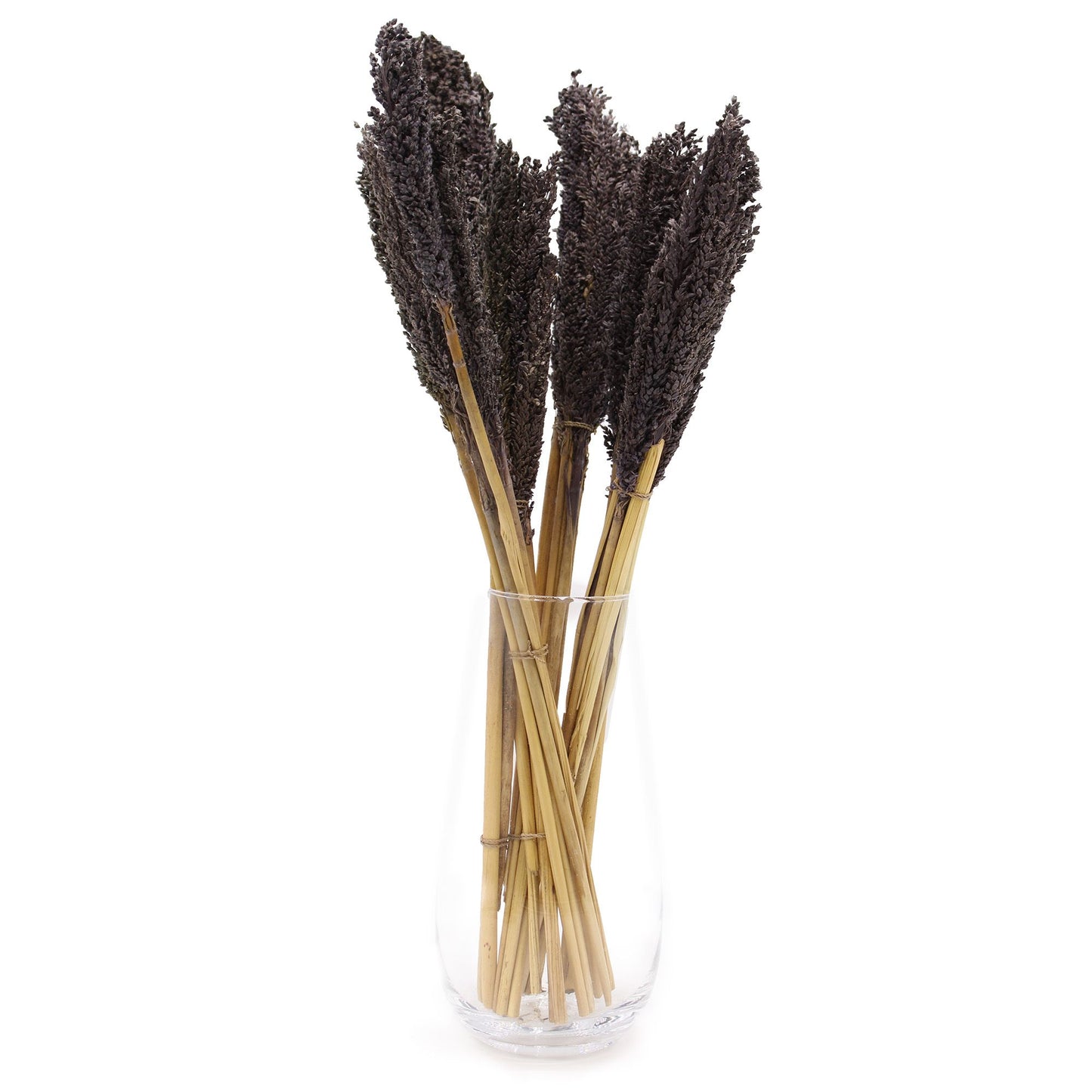 Set mit 6 schwarzen Sorghum-Grasbüscheln – Natürliche Raumdekoration