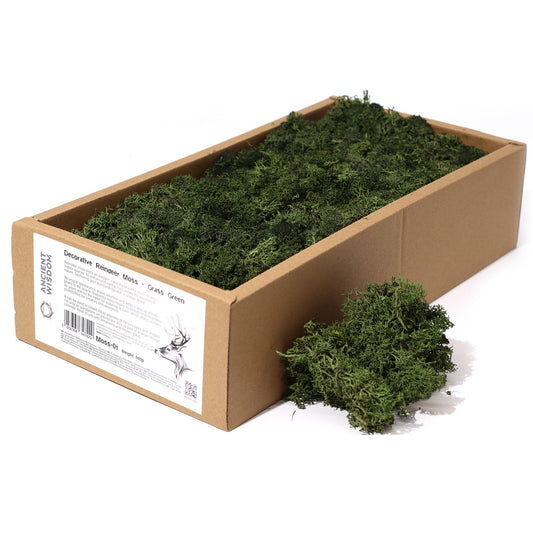 Premium Rentiermoos stabilisiert in Grasgrün - 635g Box für kreative Raumgestaltung