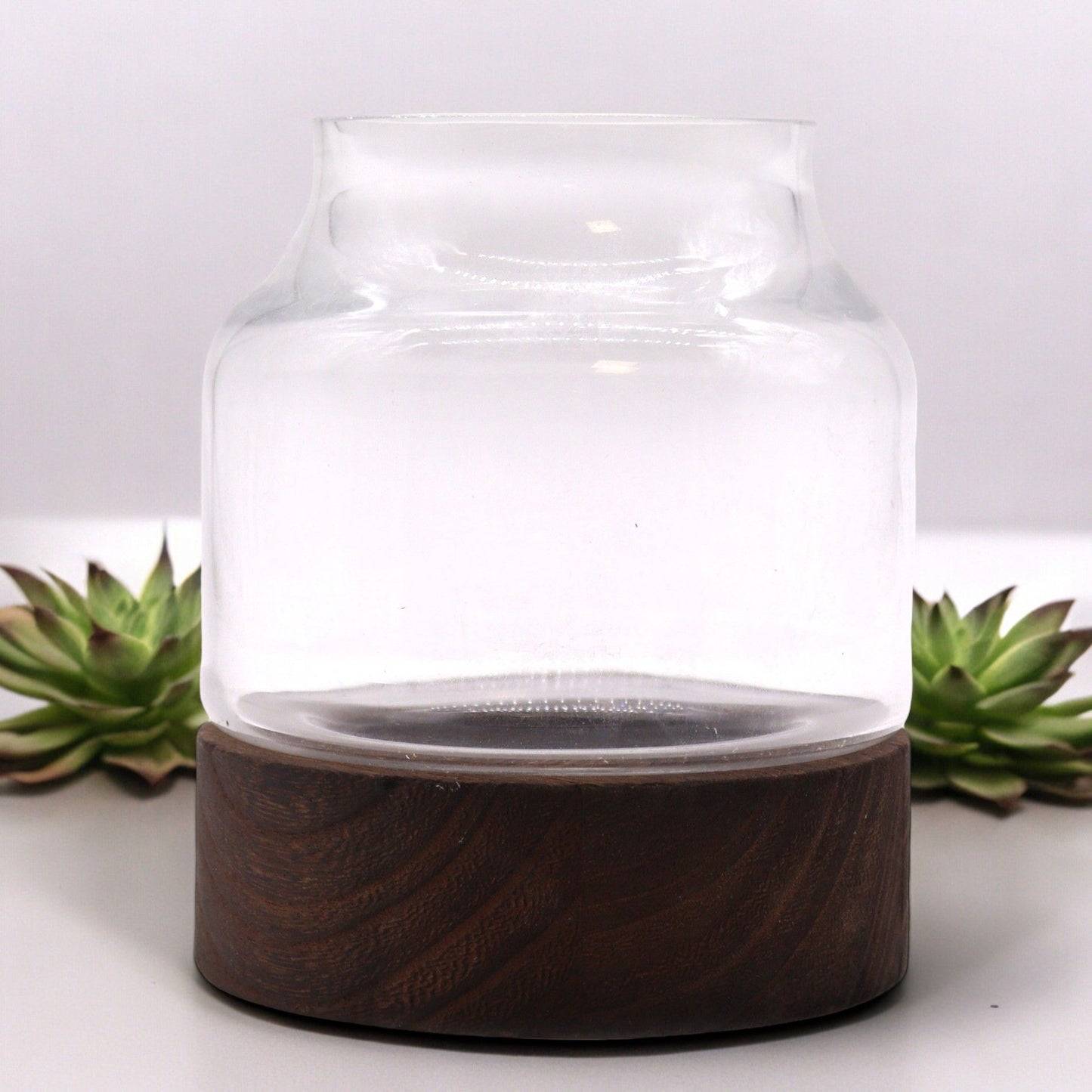 Geometrisches Glas-Terrarium auf Edelholz-Sockel – 12x13 cm