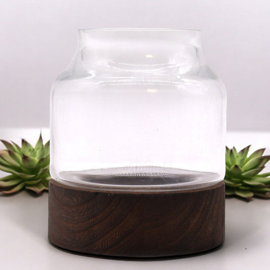 Geometrisches Glas-Terrarium auf Edelholz-Sockel – 12x13 cm
