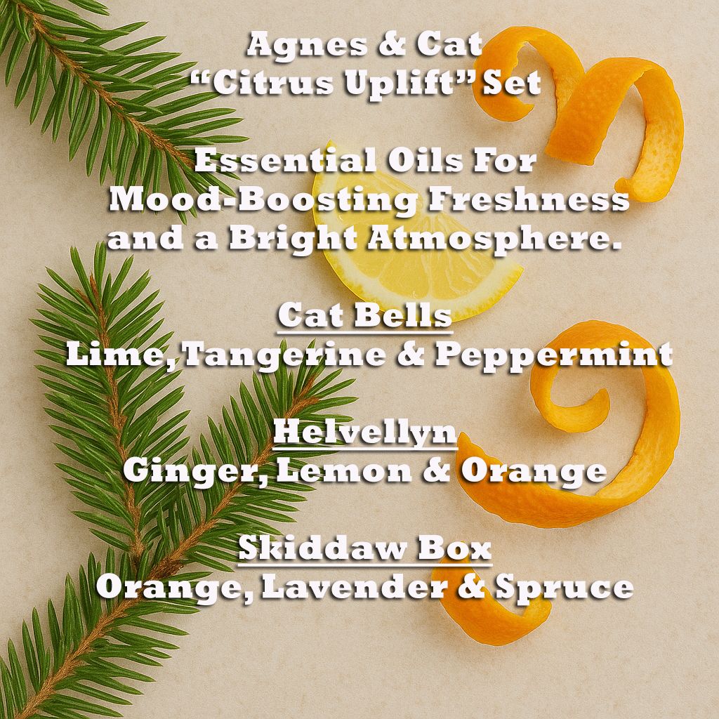Citrus Uplift Set – 3 ätherische Öl-Mischungen für Frische & Wohlbefinden