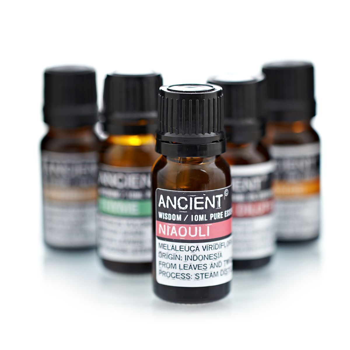Niaouli Ätherisches Öl 10ml – Natürliche Unterstützung für Haut & Wohlbefinden