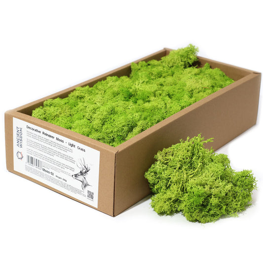 Premium Rentiermoos Hellgras - 635g Box für kreative Deko