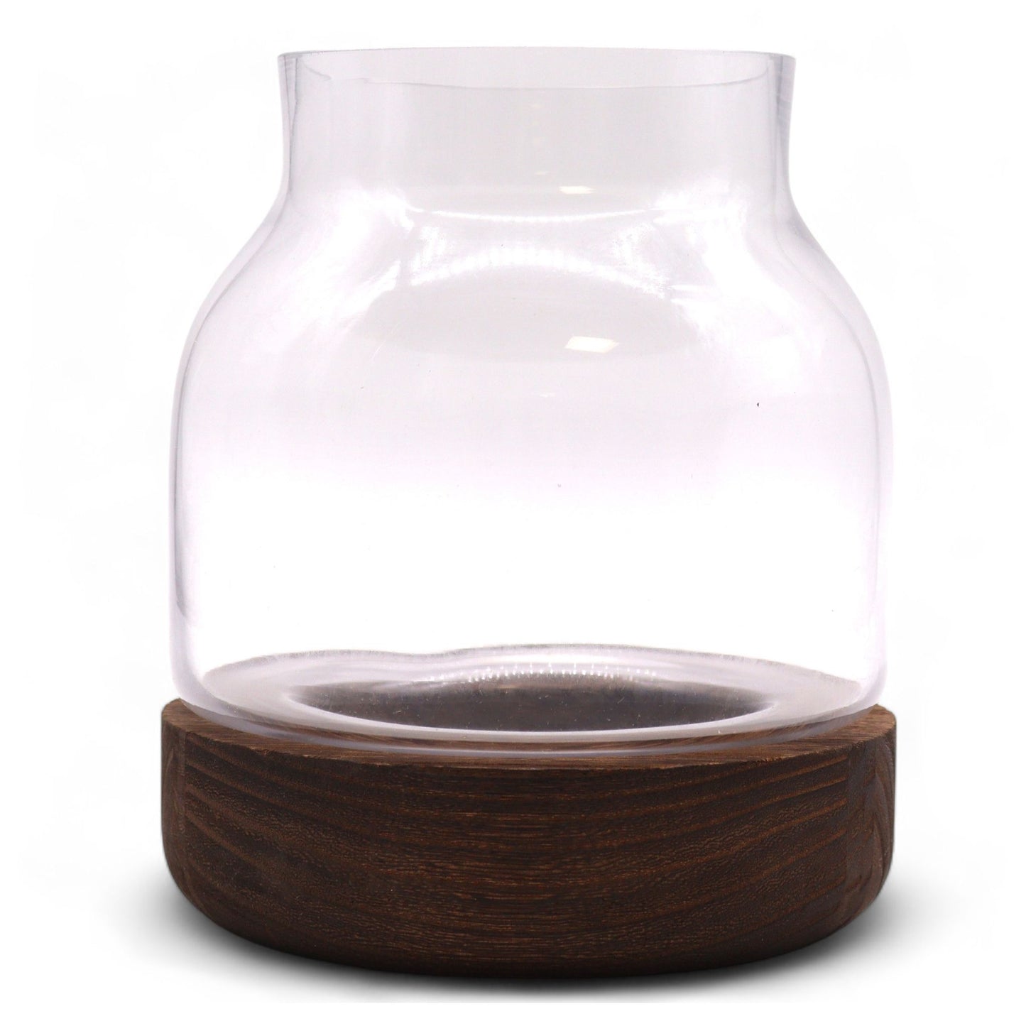 Formschönes Glas-Terrarium 16x18 cm auf Edelholz-Sockel