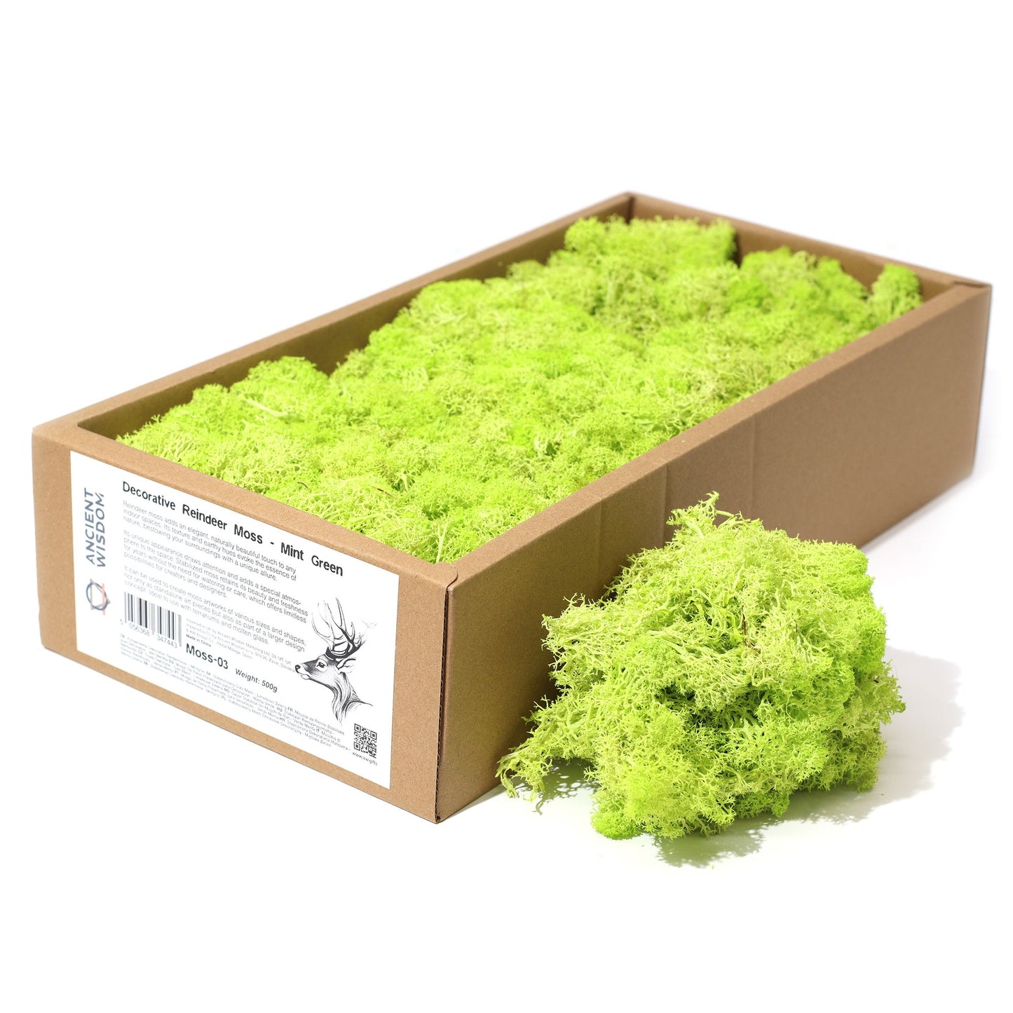 Premium Rentiermoos stabilisiert in Mintgrün - 635g Box für kreative Deko