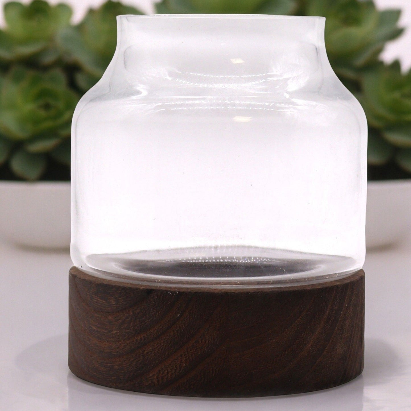 Formschönes Glas-Terrarium 16x18 cm auf Edelholz-Sockel