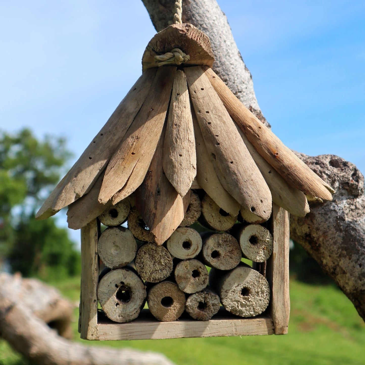 Bienen- und Insektenhaus aus recyceltem Treibholz – Ein Unikat für den Naturgarten