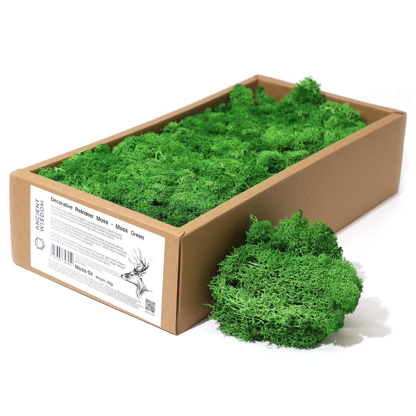 Premium Rentiermoos Moosgrün - 635g Box - Stabilisiert & pflegeleicht