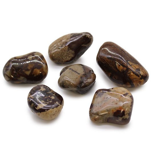 Set mit 6 großen Jaspis Nguni Trommelsteinen - Afrikanische Naturkunst