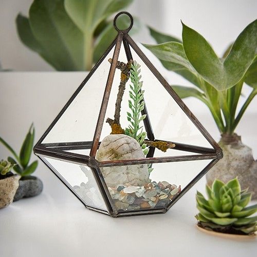 Diamant Terrarium aus Glas mit Messingrahmen - Stilvolle Pflanzendeko