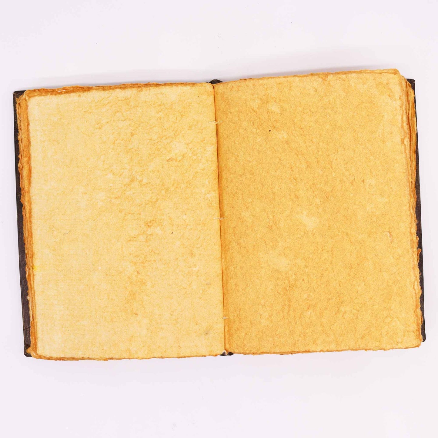 Notizbuch mit Zinkrosen-Prägung aus Leder | 200 Seiten mit beschnittenem Rand | 26x18 cm