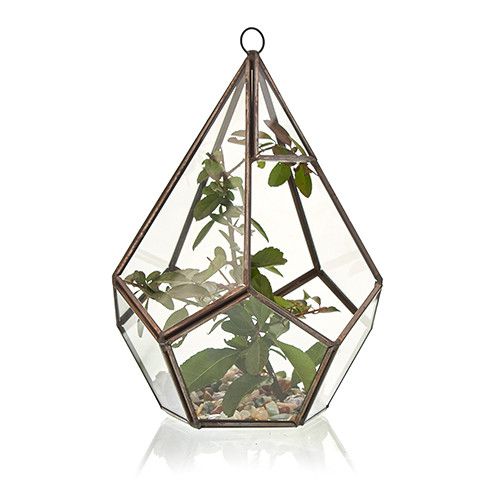 Geometrisches Glas-Terrarium in Pyramidenform mit Messingdetails
