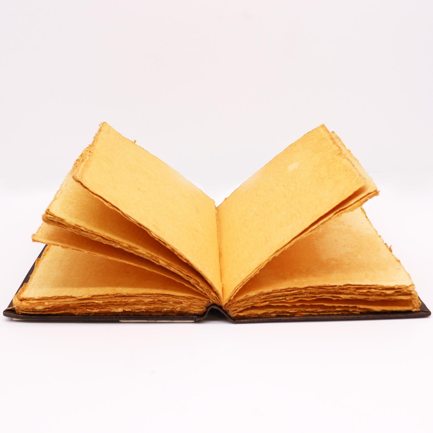 Notizbuch mit Zinkrosen-Prägung aus Leder | 200 Seiten mit beschnittenem Rand | 26x18 cm
