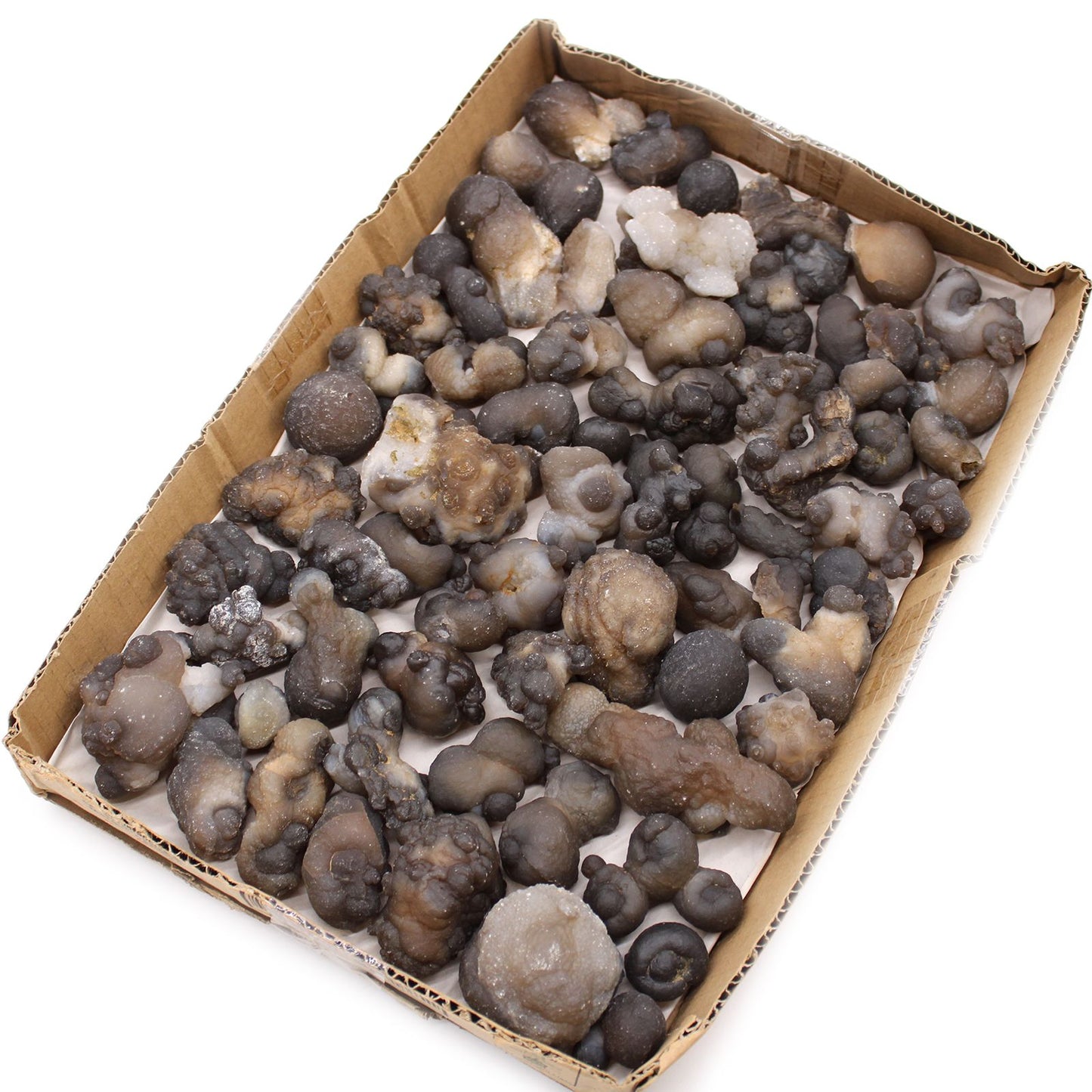 Exklusives Sammler-Tray mit 100 Chalzedon-Varietäten – Natürliche Mineralien