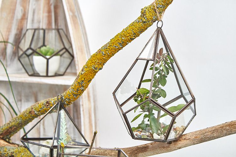 Geometrisches Glas-Terrarium in Pyramidenform mit Messingdetails