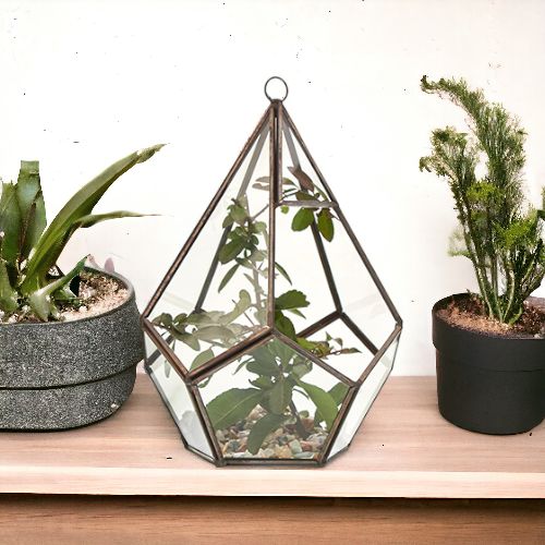 Geometrisches Glas-Terrarium in Pyramidenform mit Messingdetails