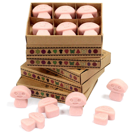 Geschenkset Kaffeetraum – 6 Duftwachs-Melts im Präsentkarton