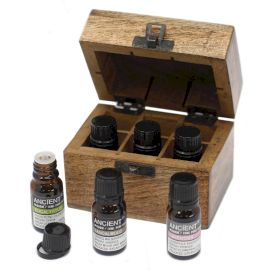 Aromatherapie-Set: 6 naturreine ätherische Öle in handgeschnitzter Mangoholz-Kassette