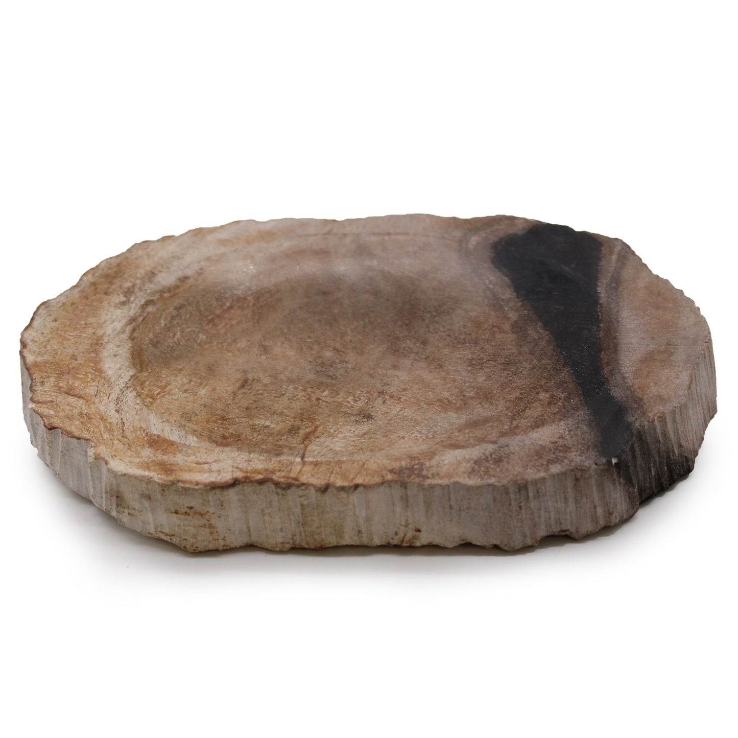 Seifenschale aus schwarzem versteinertem Holz – Ein Naturstein-Unikat