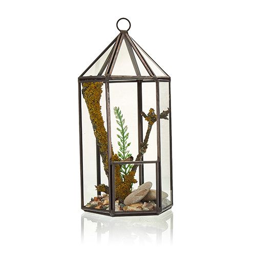Geometrisches Glas-Terrarium in Laternenform mit Messingrahmen