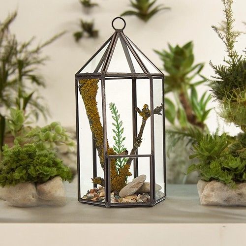 Geometrisches Glas-Terrarium in Laternenform mit Messingrahmen