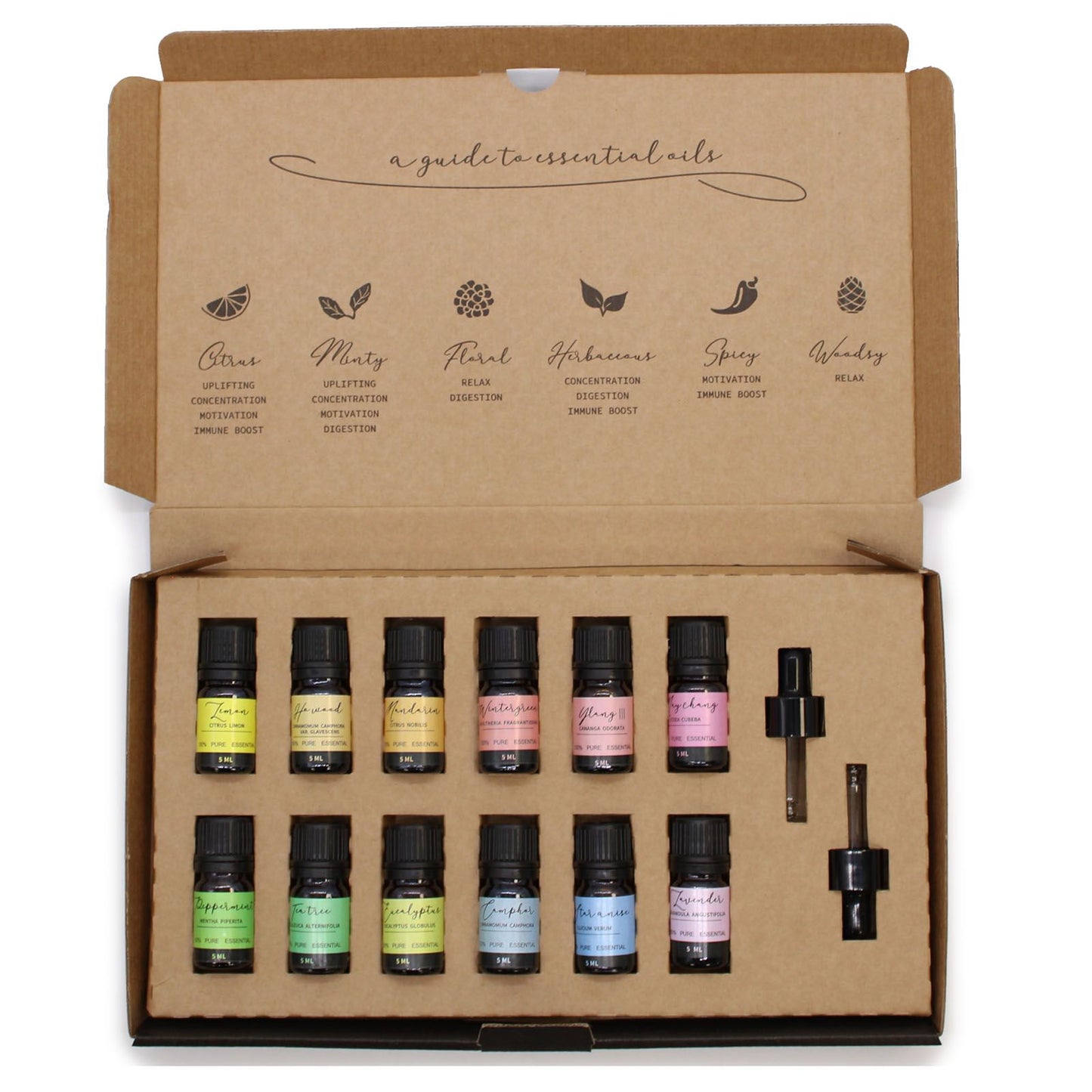 Premium Aromatherapie Set Einsteiger – 12 naturreine ätherische Öle
