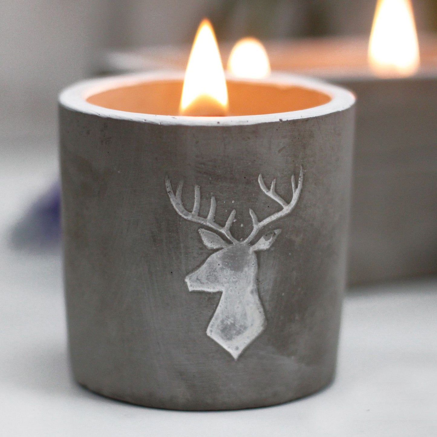 Beton-Duftkerze Stag Head mit Holzdocht - Whisky & Rauchholz Aroma